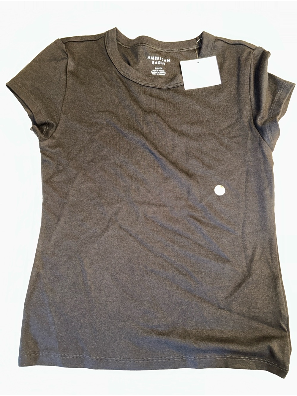 American Eagle Outfitters Short Sleeve Crewneck Tee in Brown